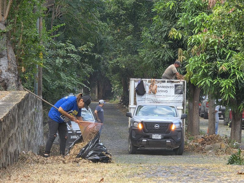 En este momento estás viendo Riult Rivera y la Participación Ciudadana Impulsan el Programa “Colima Verde y Vivo”