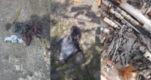 Lee más sobre el artículo La inconsciencia ciudadana está colapsando el drenaje