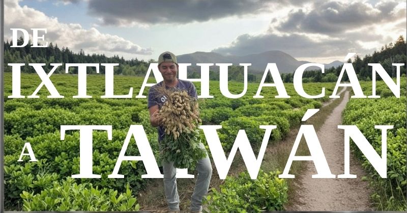 En este momento estás viendo Desde Ixtlahuacán al mundo: proyecto de cacahuate llega a Taiwán