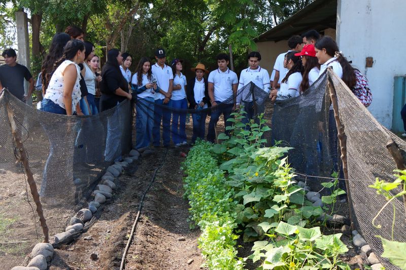 En este momento estás viendo Continúan enriqueciendo formación ambiental de bachilleres con tercera sesión de “Prácticas en Territorio Biodiverso”