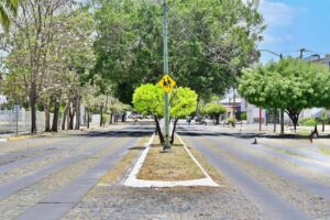 Lee más sobre el artículo Ayuntamiento de Colima mejora señalización y camellones en avenidas principales