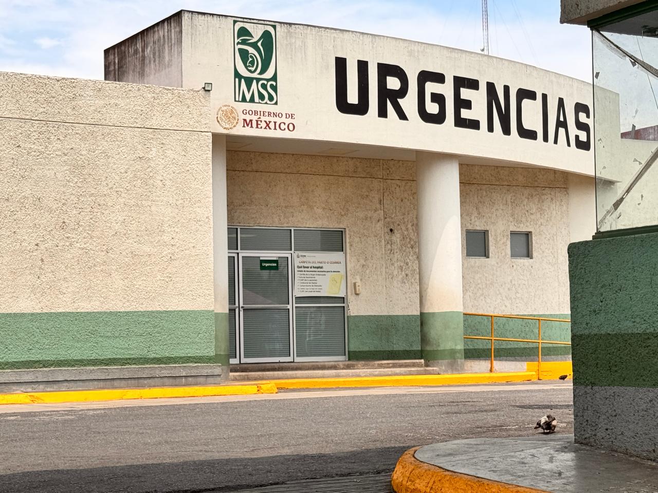 En este momento estás viendo Trasladan de urgencia a joven picada por abejas en Tecomán
