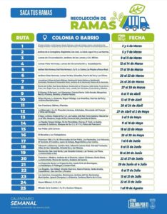 Lee más sobre el artículo Avanza en mayo la recolección de ramas en colonias de Colima capital