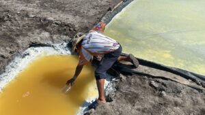 Lee más sobre el artículo Del residuo a remedio: el “aceite de sal” que surge de las Salineras de Cuyutlán