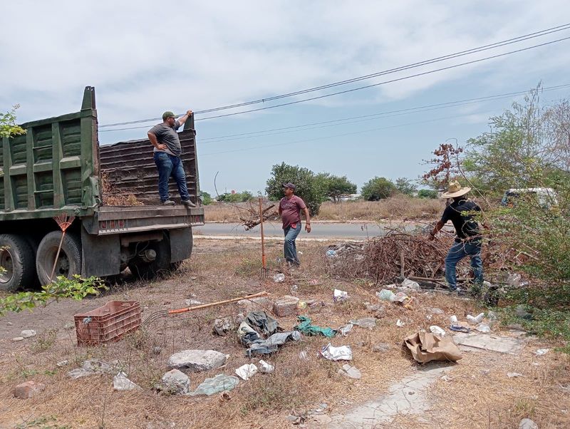 En este momento estás viendo Intensifican labores de limpieza y retiro de ramas en Tecomán