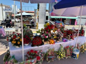 Lee más sobre el artículo Armando Reyna invita a visitar el Pabellón del Día de la Madre