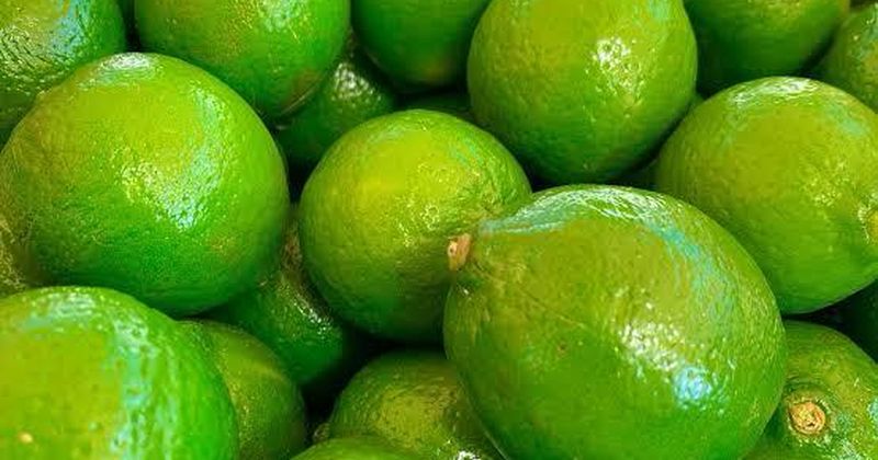 En este momento estás viendo Productores de limón enfrentan mayores costos por saturación carretera