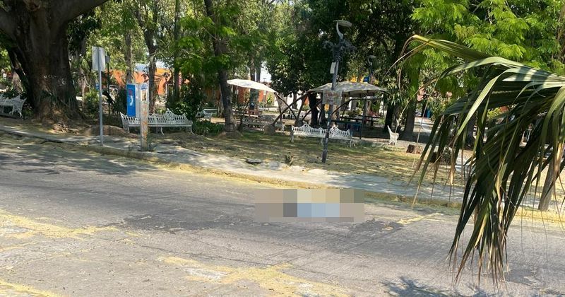 En este momento estás viendo Asesinan a una mujer en el jardín de La Corregidora, en Colima