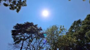 Lee más sobre el artículo Calor extremo en Tecomán enciende alerta por golpes de calor; piden suspender actividades al mediodía