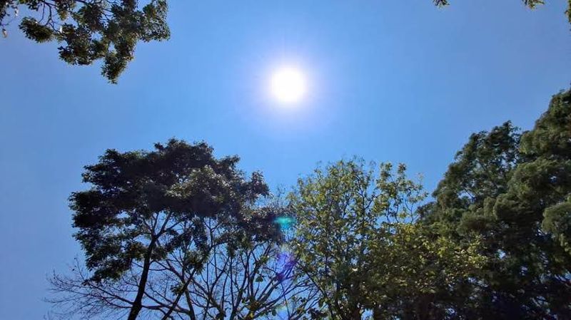 En este momento estás viendo Calor extremo en Tecomán enciende alerta por golpes de calor; piden suspender actividades al mediodía