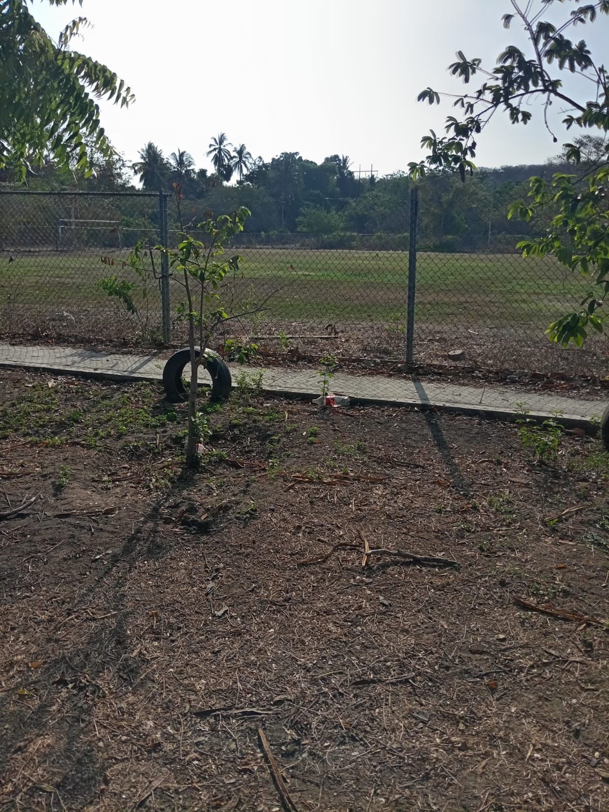 En este momento estás viendo Gobierno de Tecomán realiza reparación de malla ciclónica en campo de fútbol de Ruiz Cortines