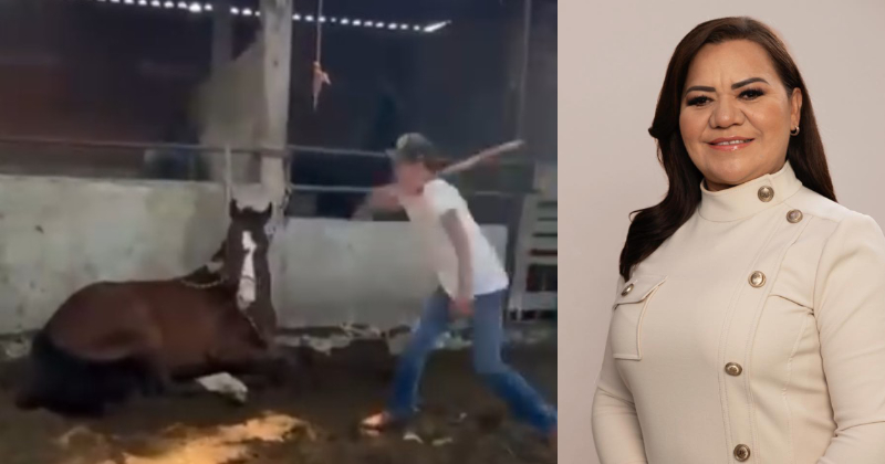 En este momento estás viendo Autoridades de Cuauhtémoc darán seguimiento legal a presunto caso de maltrato animal; Lupita Solís condena los hechos