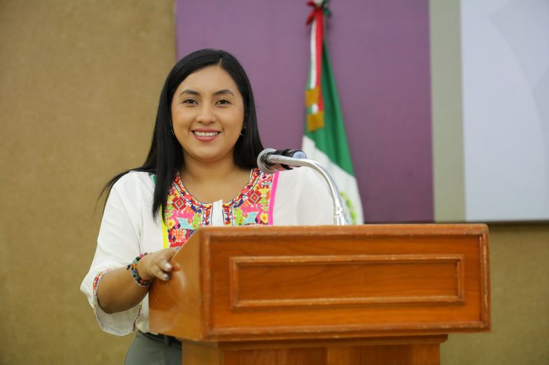 En este momento estás viendo Atiende Congreso resolución de la SCJN y reforma Ley Orgánica de la CDHE