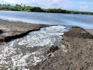 Lee más sobre el artículo Abren la Boca de Pascuales para agilizar el desalojo de agua tras las lluvias