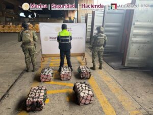 Lee más sobre el artículo Aseguran en Aduana de Lázaro Cárdenas contenedor con 137 kilos de presunta sustancia ilícita