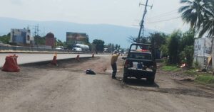 Lee más sobre el artículo Almacén de perfumes atrae enjambres de abejas en la colonia Bayardo; reportan una persona lesionada