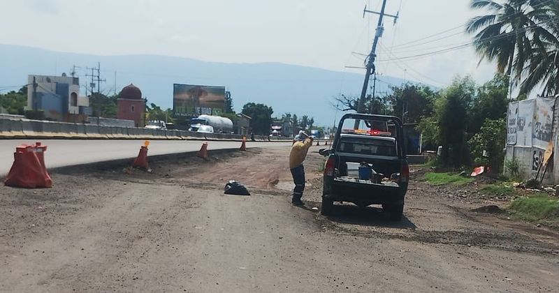 En este momento estás viendo Almacén de perfumes atrae enjambres de abejas en la colonia Bayardo; reportan una persona lesionada