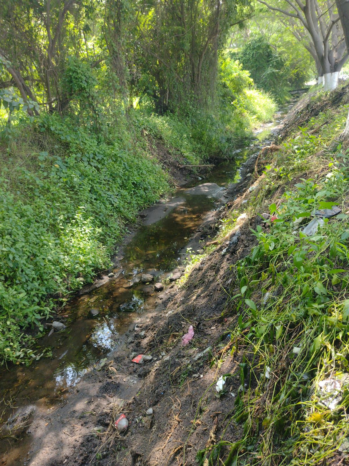 En este momento estás viendo Ayuntamiento de Tecomán refuerza limpieza de dren en zona del Parque Metropolitano por temporada de lluvias