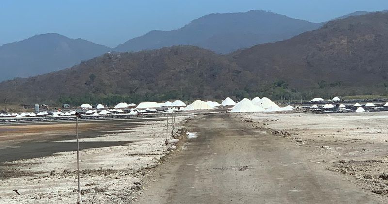 En este momento estás viendo Salineros de Colima exigen garantías ante posible contaminación por ampliación del Puerto de Manzanillo