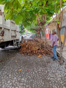 Lee más sobre el artículo Retiran ramas y desechos vegetales de calles y espacios públicos de Colima
