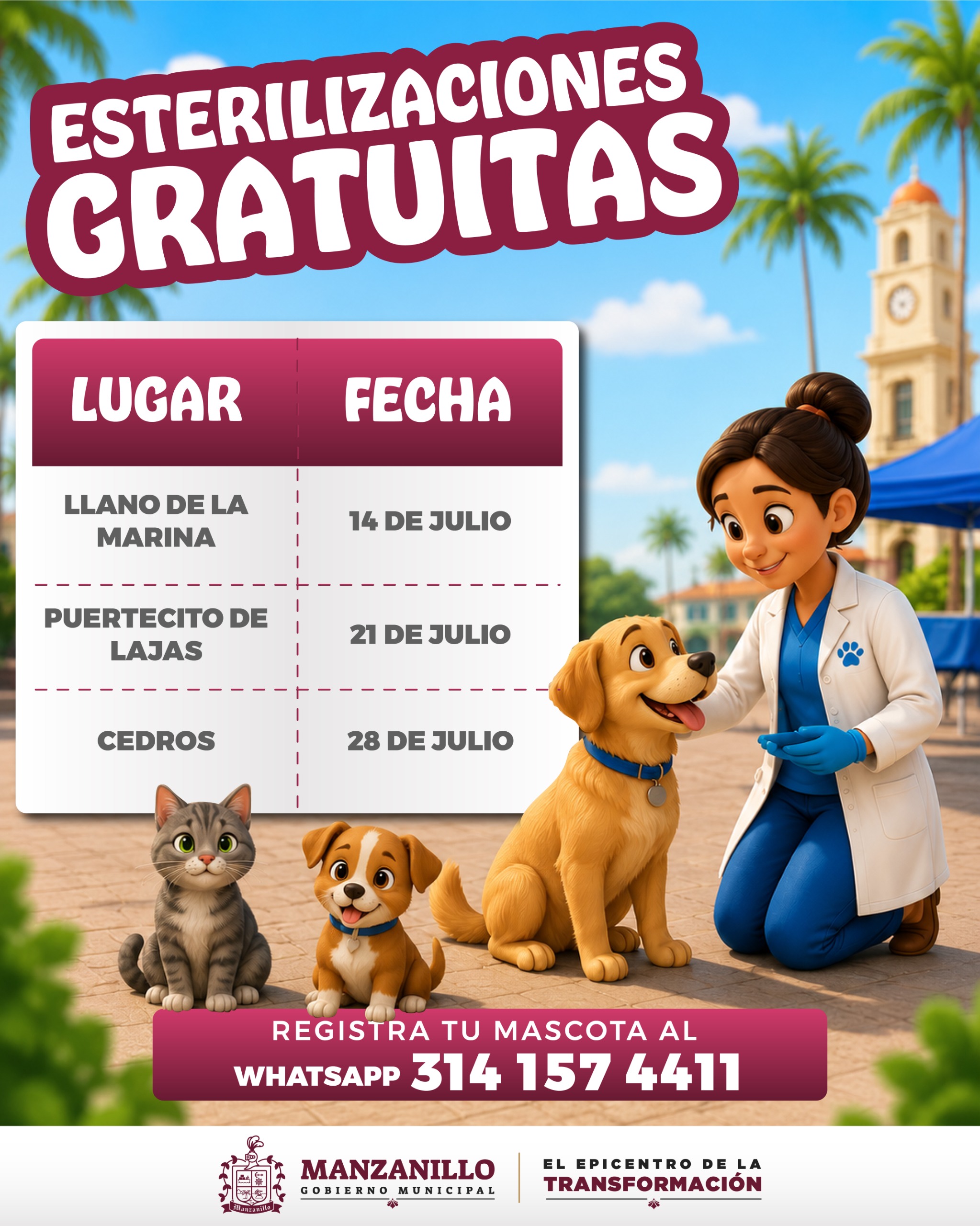 En este momento estás viendo Ayuntamiento de Manzanillo impulsa esterilizaciones gratuitas a domicilio
