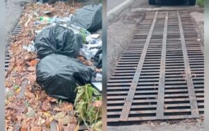 Lee más sobre el artículo Continúa Ayuntamiento de Colima con desazolve de alcantarillas para prevenir encharcamientos