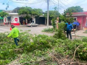 Lee más sobre el artículo Realizan poda preventiva en canchas de El Chamizal para reforzar la seguridad de deportistas