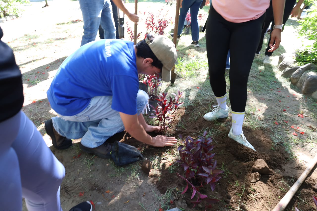 En este momento estás viendo Realizan jornada de mantenimiento y reforestación en Jardines de Las Lomas de Colima