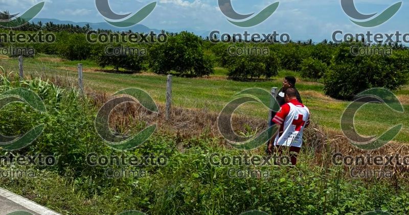 En este momento estás viendo Localizan cuerpo sin vida en la carretera Tecomán–Playa Real