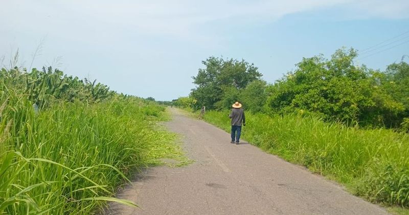 En este momento estás viendo Voluntarios limpian acceso a Boca de Apiza y piden atender el abandono de la carretera