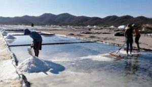 Lee más sobre el artículo Alta demanda de sal adelantaría la próxima zafra en Cuyutlán