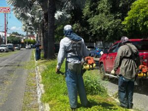 Lee más sobre el artículo Realizan mantenimiento en camellones de tres importantes vialidades de Colima