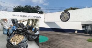 Lee más sobre el artículo FGR obtiene vinculación a proceso contra una persona detenida con 11 mil 175 huevos de tortuga en Estapilla