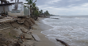 Lee más sobre el artículo El mar gana terreno: cambio climático y pérdida de manglares agravan erosión costera