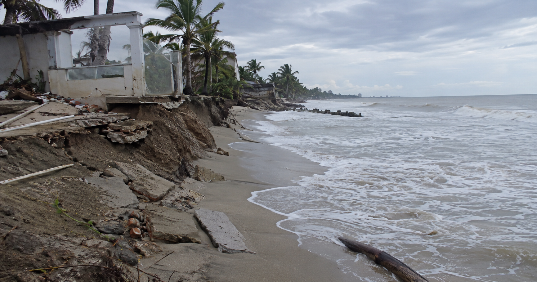 En este momento estás viendo El mar gana terreno: cambio climático y pérdida de manglares agravan erosión costera