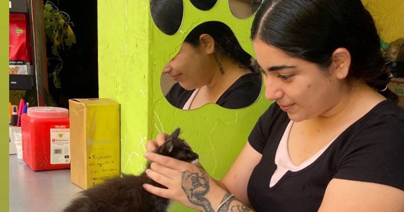 En este momento estás viendo Veterinaria pide acabar con prejuicios contra los gatos, especialmente los negros