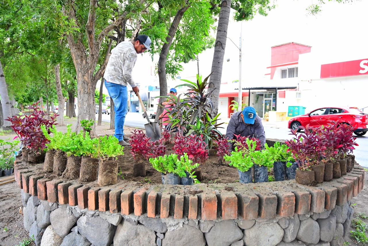 En este momento estás viendo Embellecen la avenida Sevilla del Río con labores de mantenimiento urbano