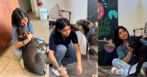 Lee más sobre el artículo Ser veterinaria también fue abrir camino frente a los prejuicios
