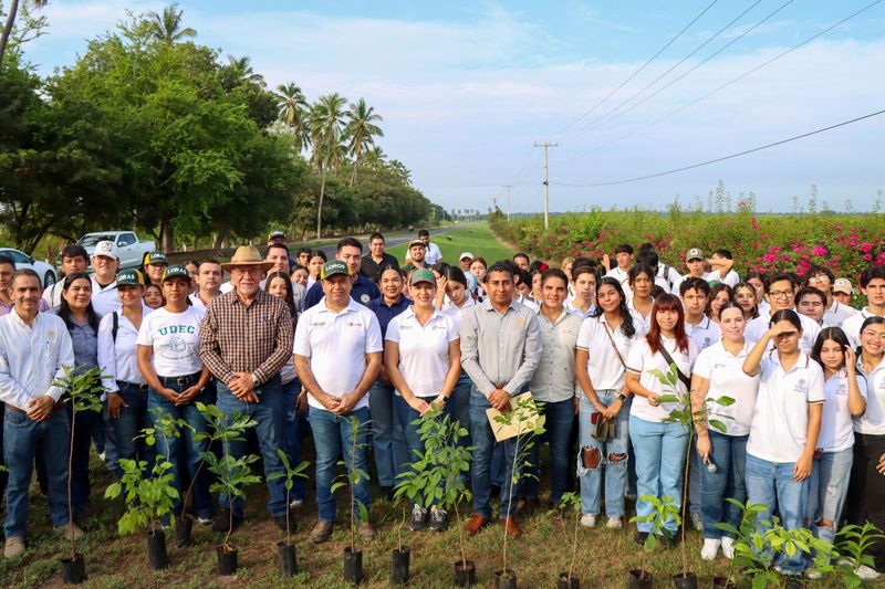 En este momento estás viendo Estudiantes y personal de la UdeC plantan 240 árboles en la playa El Real, en Tecomán
