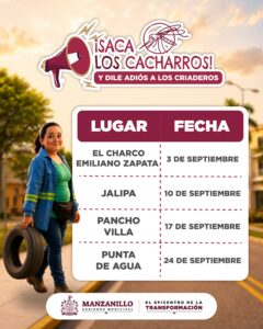 Lee más sobre el artículo Ayuntamiento de Manzanillo continúa en septiembre con jornadas de descacharrización para prevenir criaderos de mosquitos