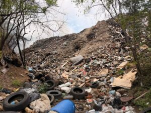 Lee más sobre el artículo Imades Colima clausura actividades en un predio de Manzanillo por posibles incumplimientos ambientales