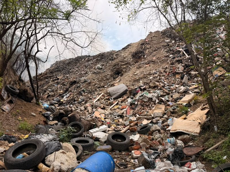 En este momento estás viendo Imades Colima clausura actividades en un predio de Manzanillo por posibles incumplimientos ambientales