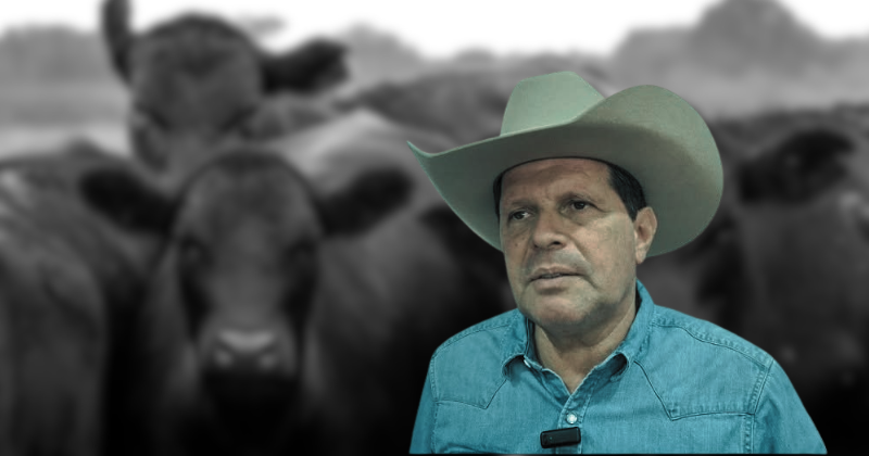 En este momento estás viendo Gusano barrenador y tuberculosis bovina, retos para la ganadería de Colima