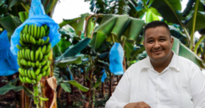 Lee más sobre el artículo Cae 33% el número de productores de plátano en Cerro de Ortega; prevén perder otros 30