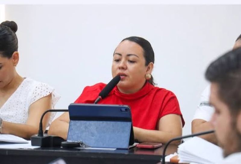 En este momento estás viendo Liz Briceño propone programa de poda para despejar luminarias en Tecomán