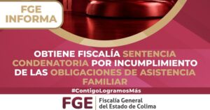 Lee más sobre el artículo Obtiene Fiscalía sentencia condenatoria por incumplimiento de las obligaciones de asistencia familiar