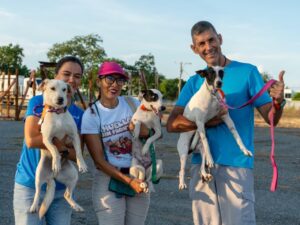 Lee más sobre el artículo Ayuntamiento de Manzanillo, refugios y asociaciones logran que 58 perros encuentren familia en Estados Unidos