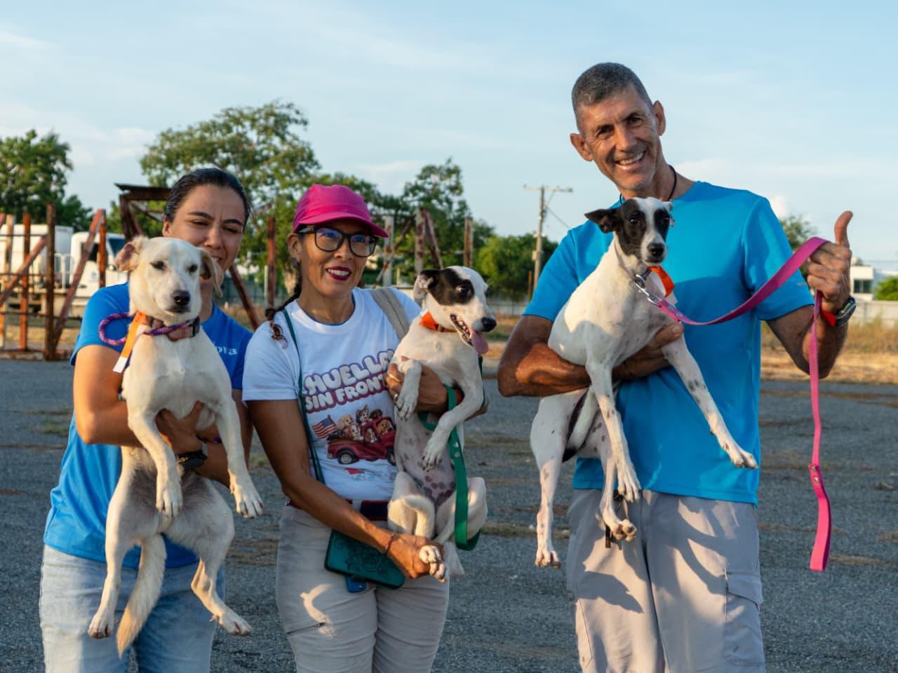 En este momento estás viendo Ayuntamiento de Manzanillo, refugios y asociaciones logran que 58 perros encuentren familia en Estados Unidos